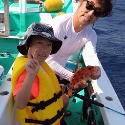 アヤメカサゴ