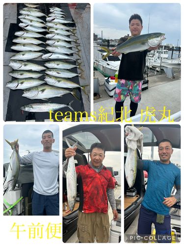 メジロの釣果