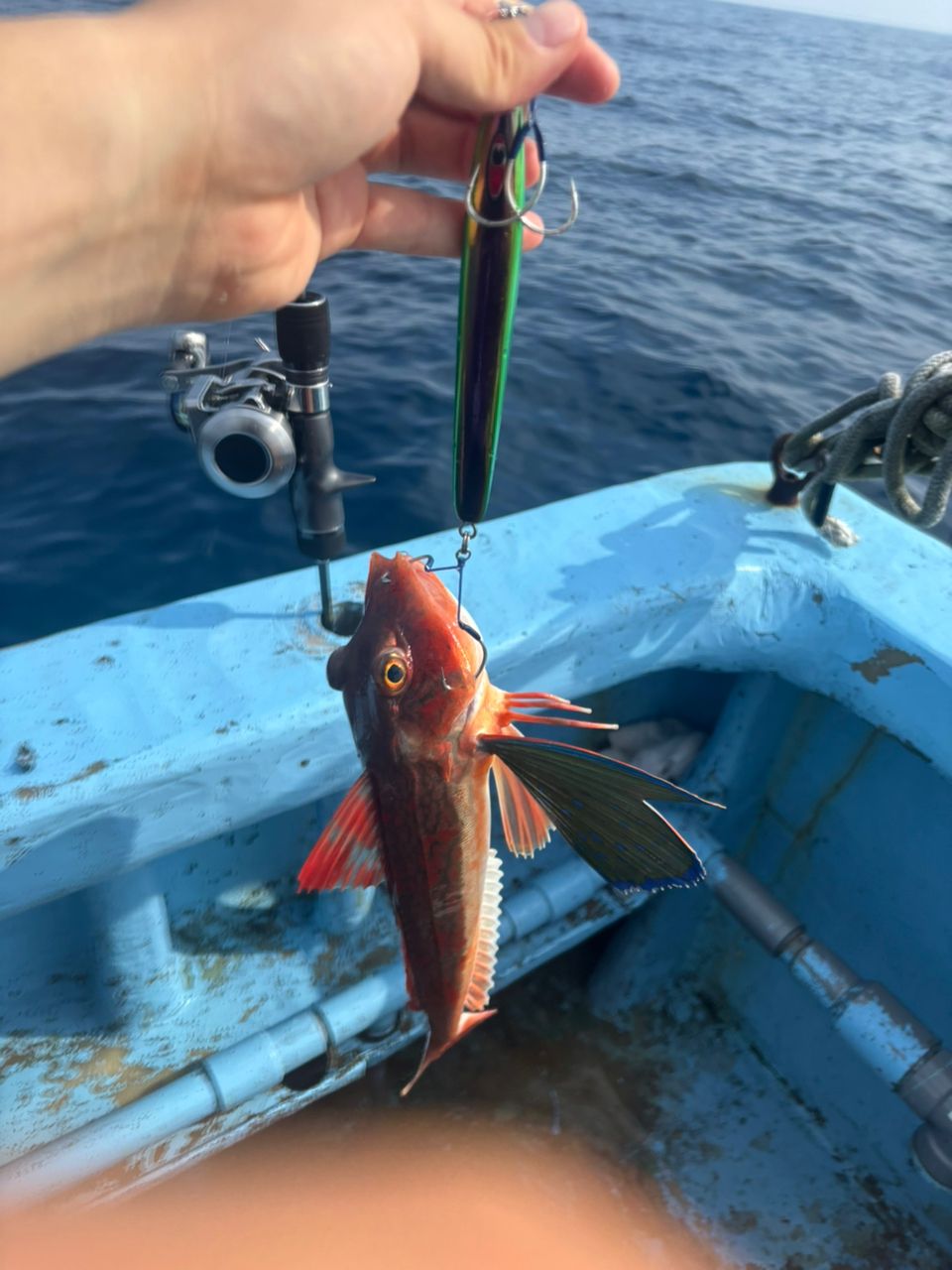 Mackey-jiggingさんの釣果 2枚目の画像