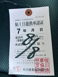 アユの釣果