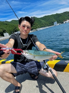ワカシの釣果