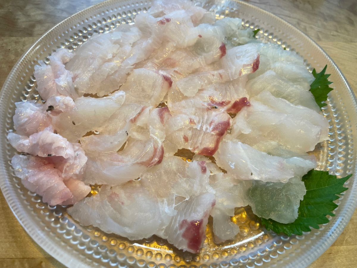 痛風おはむさんの釣果 2枚目の画像