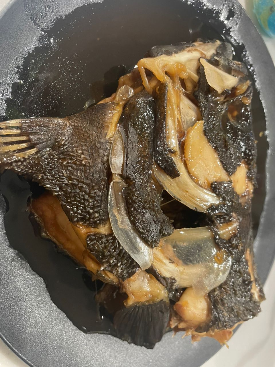 痛風おはむさんの釣果 3枚目の画像