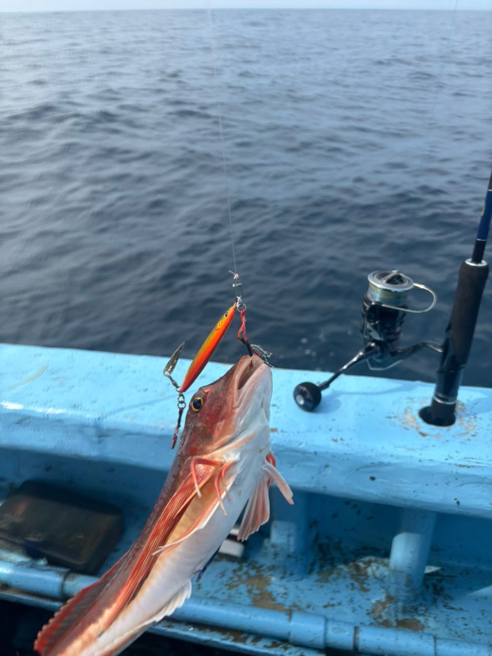 Mackey-jiggingさんの釣果 2枚目の画像