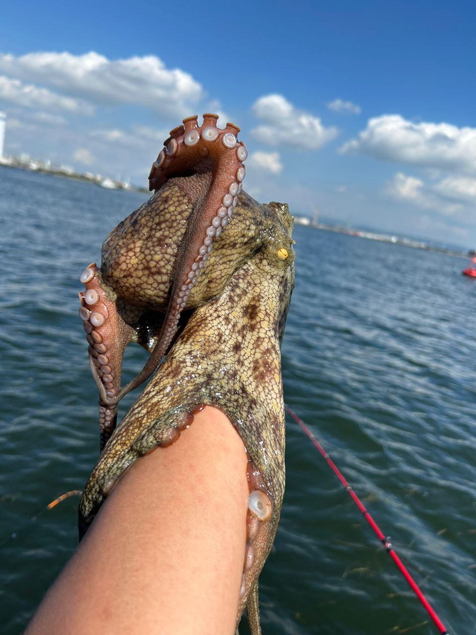 みき0110さんの釣果 2枚目の画像