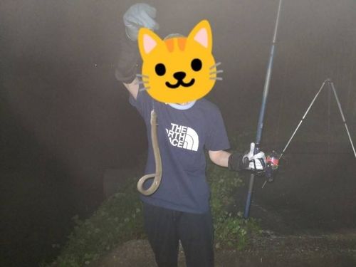 ウナギの釣果