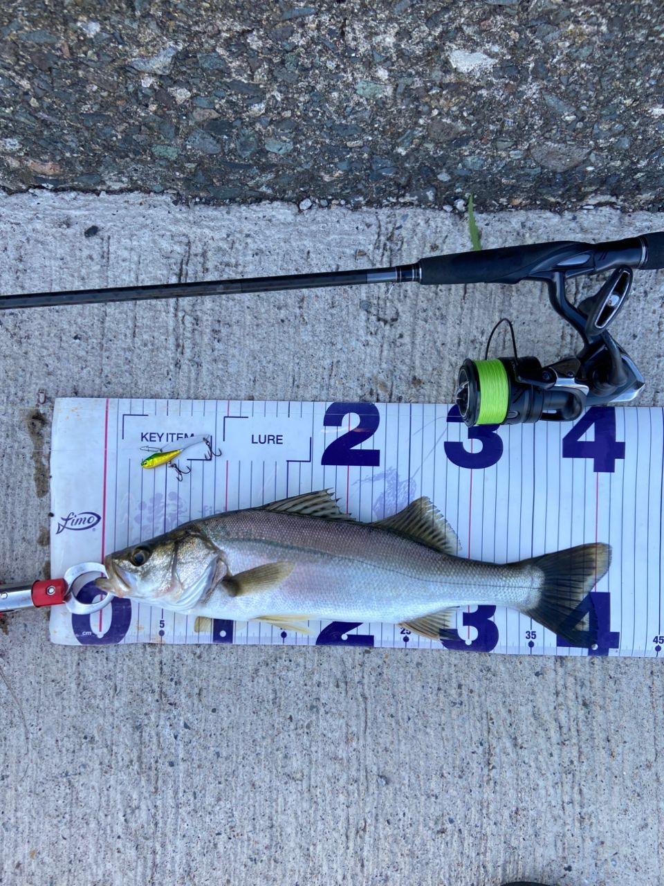 SHIMANO 18エクスセンスジェノス S910M/Rの最安値・インプレ