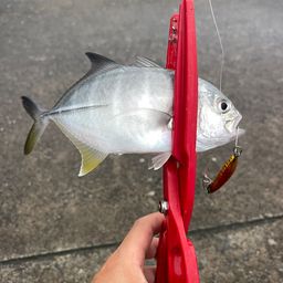メッキ