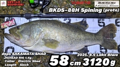 ブラックバスの釣果