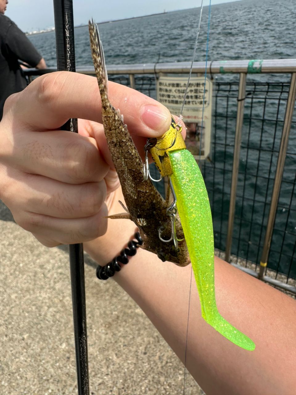 メゴチ