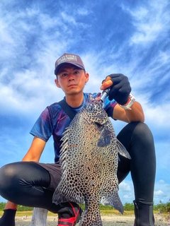 イシガキダイの釣果