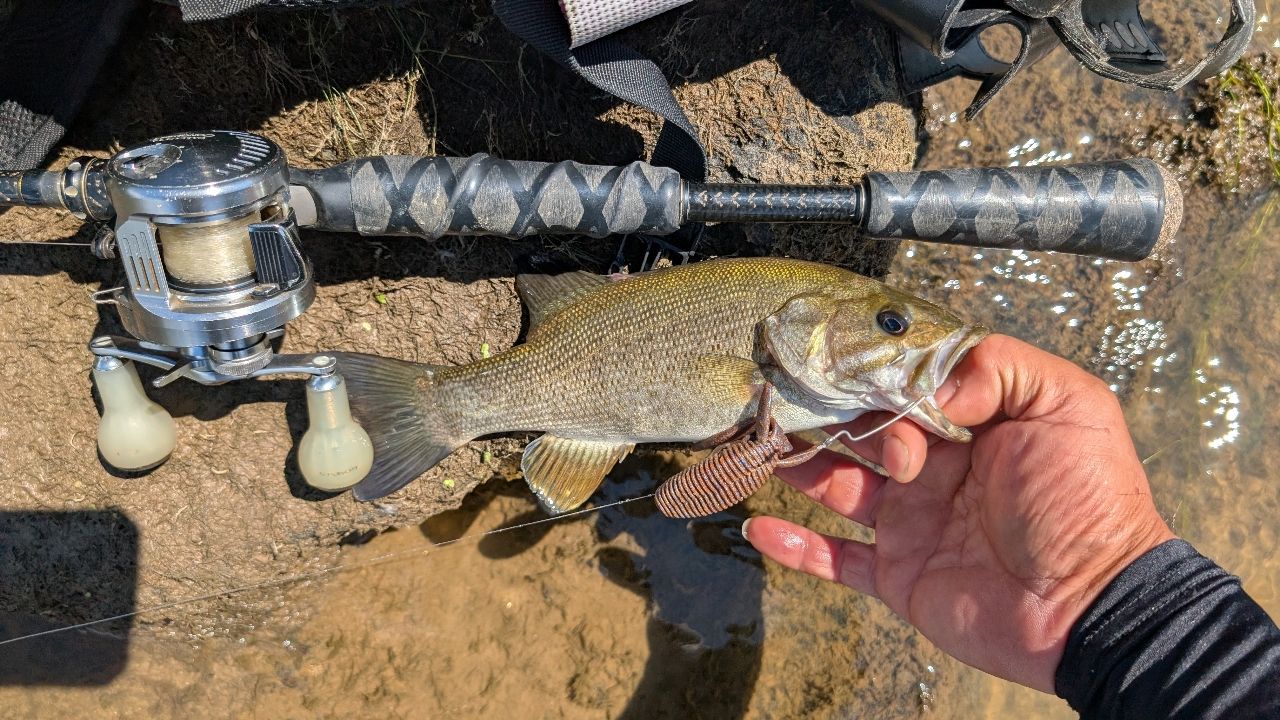 スモールマウスバス