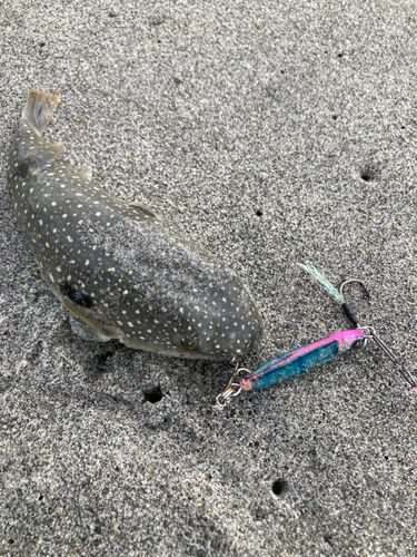 釣果