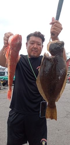 ヒラメの釣果