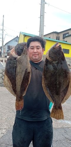 ヒラメの釣果