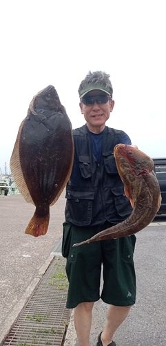 ヒラメの釣果