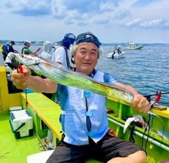 タチウオの釣果