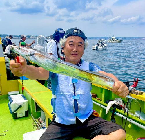 タチウオの釣果
