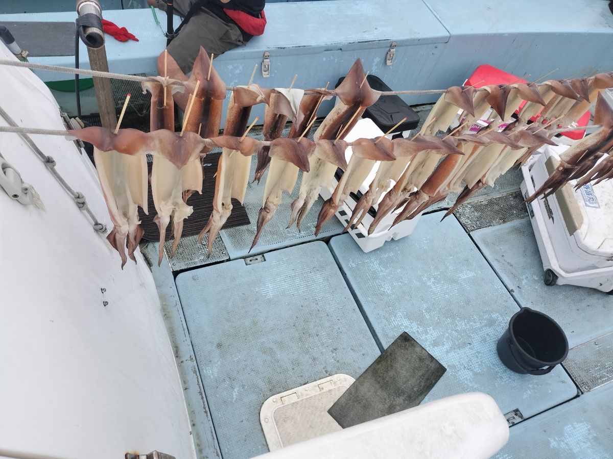 オーツカさんの釣果 2枚目の画像