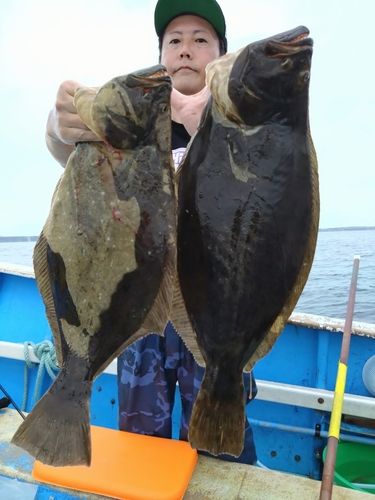 ヒラメの釣果