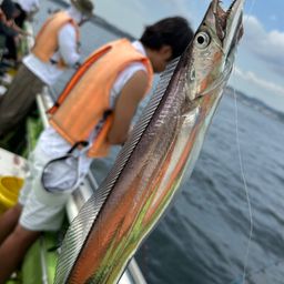 タチウオ