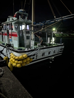 クロムツの釣果