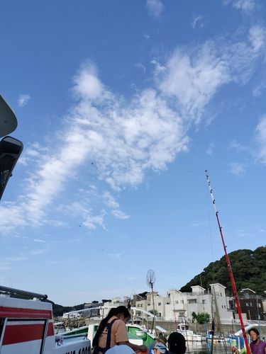 マアジの釣果