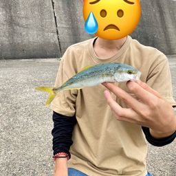 モジャコ