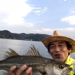 スズキ
