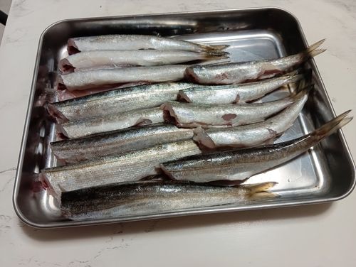カマス