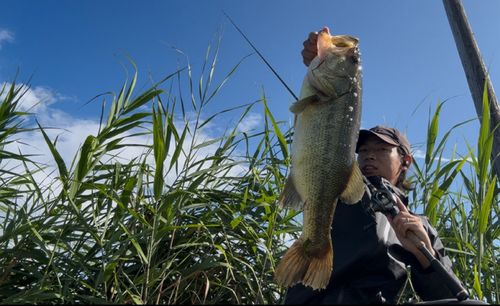 ラージマウスバスの釣果