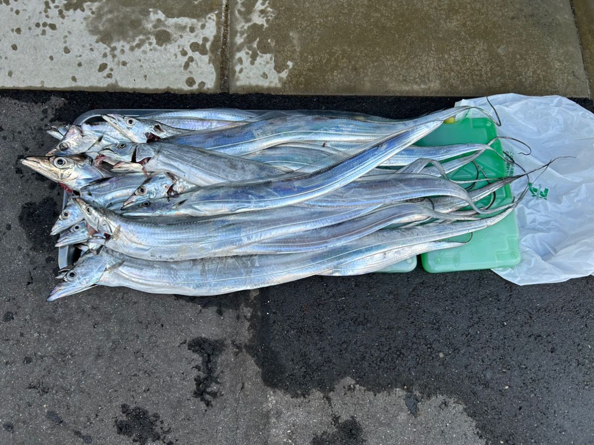 みき0110さんの釣果 2枚目の画像