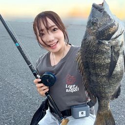 クロダイ