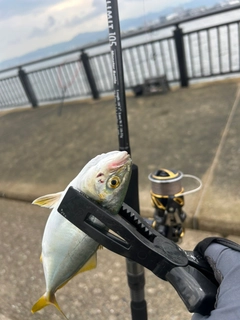 釣果