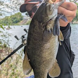 スモールマウスバス