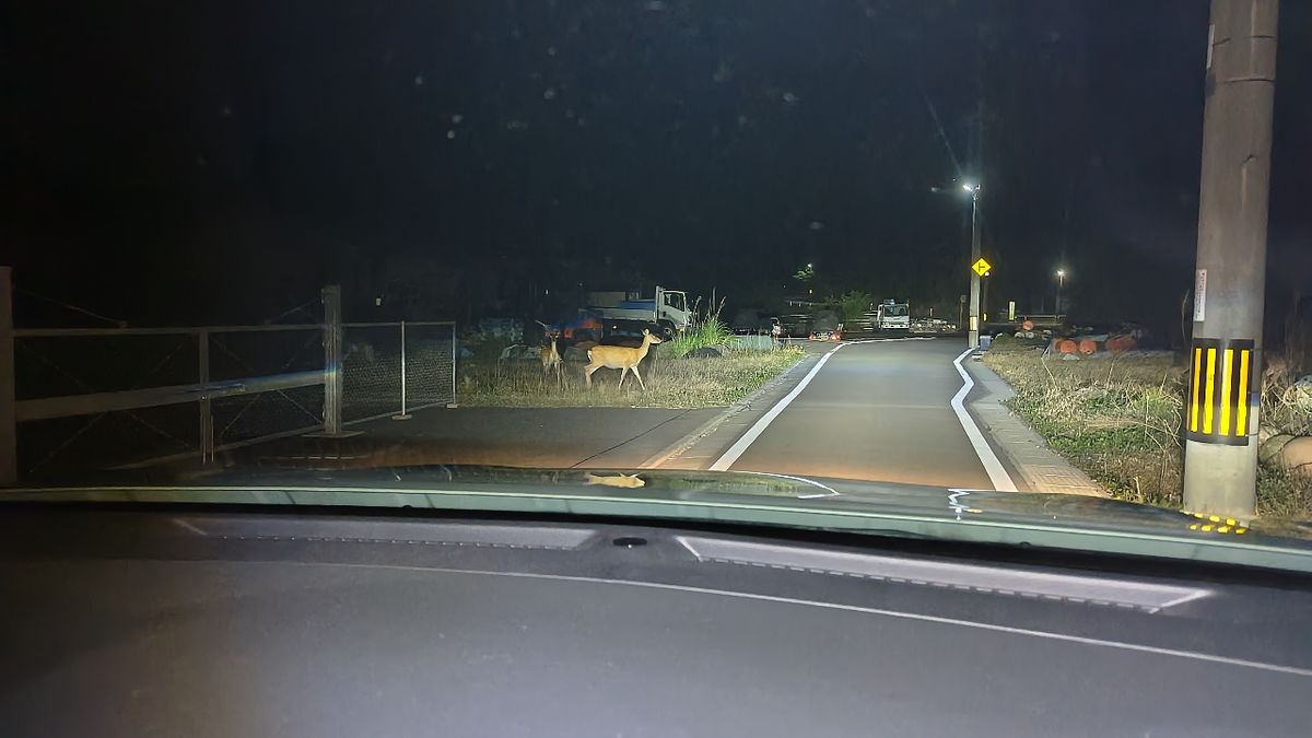 ドラッグジグさんの釣果 2枚目の画像