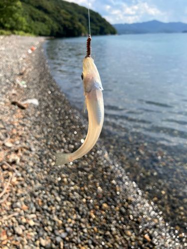 釣果
