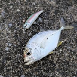 メッキ