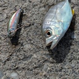 メッキ