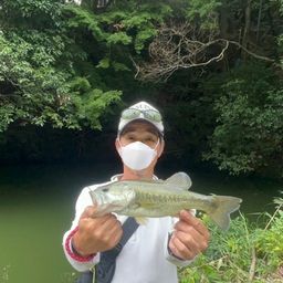 ラージマウスバス