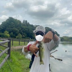 ラージマウスバス