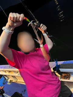 マルイカの釣果