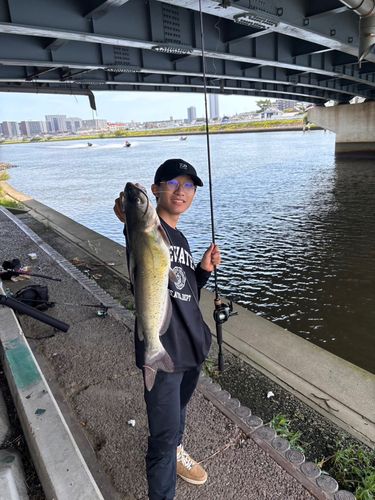 アメリカナマズの釣果