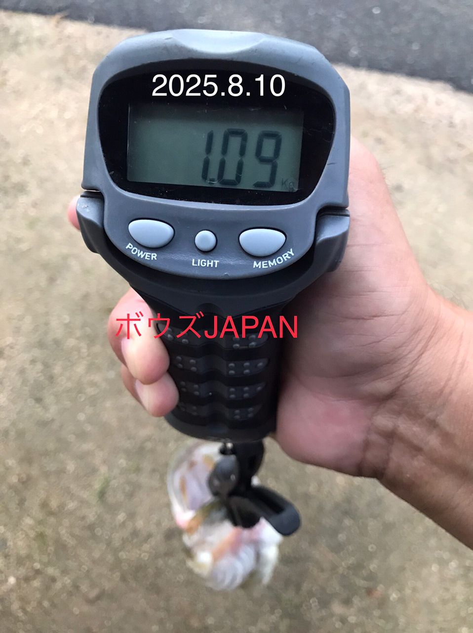 ブラックバス