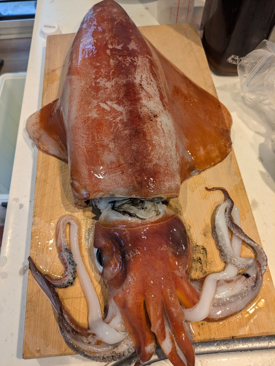 ぼ〜ちゃんFamily🎣さんの釣果 3枚目の画像