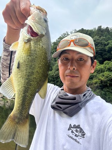 ラージマウスバスの釣果