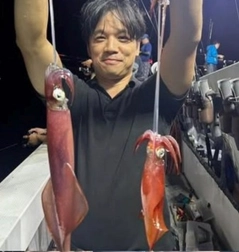 ケンサキイカの釣果