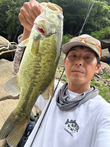 ラージマウスバスの釣果