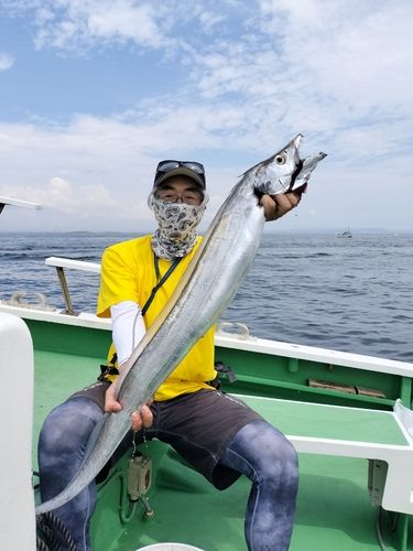 タチウオの釣果