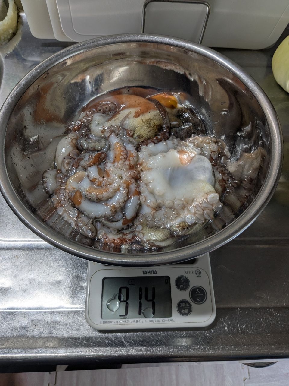 タコ
